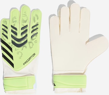 žalia ADIDAS PERFORMANCE Sportinės pirštinės 'Predator': priekis