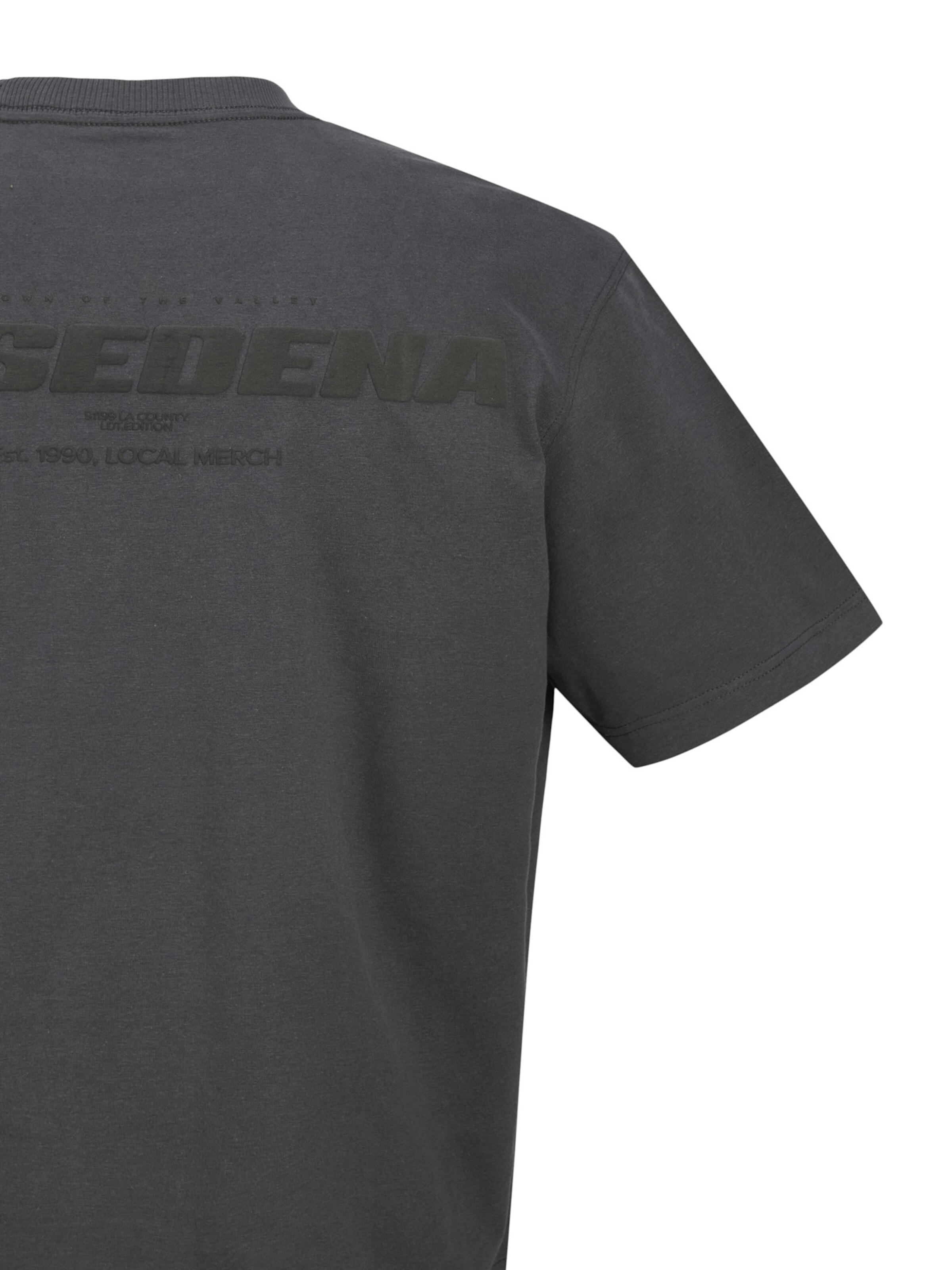 Maglietta 'Interlude Easter' di Jack & Jones Junior in grigio