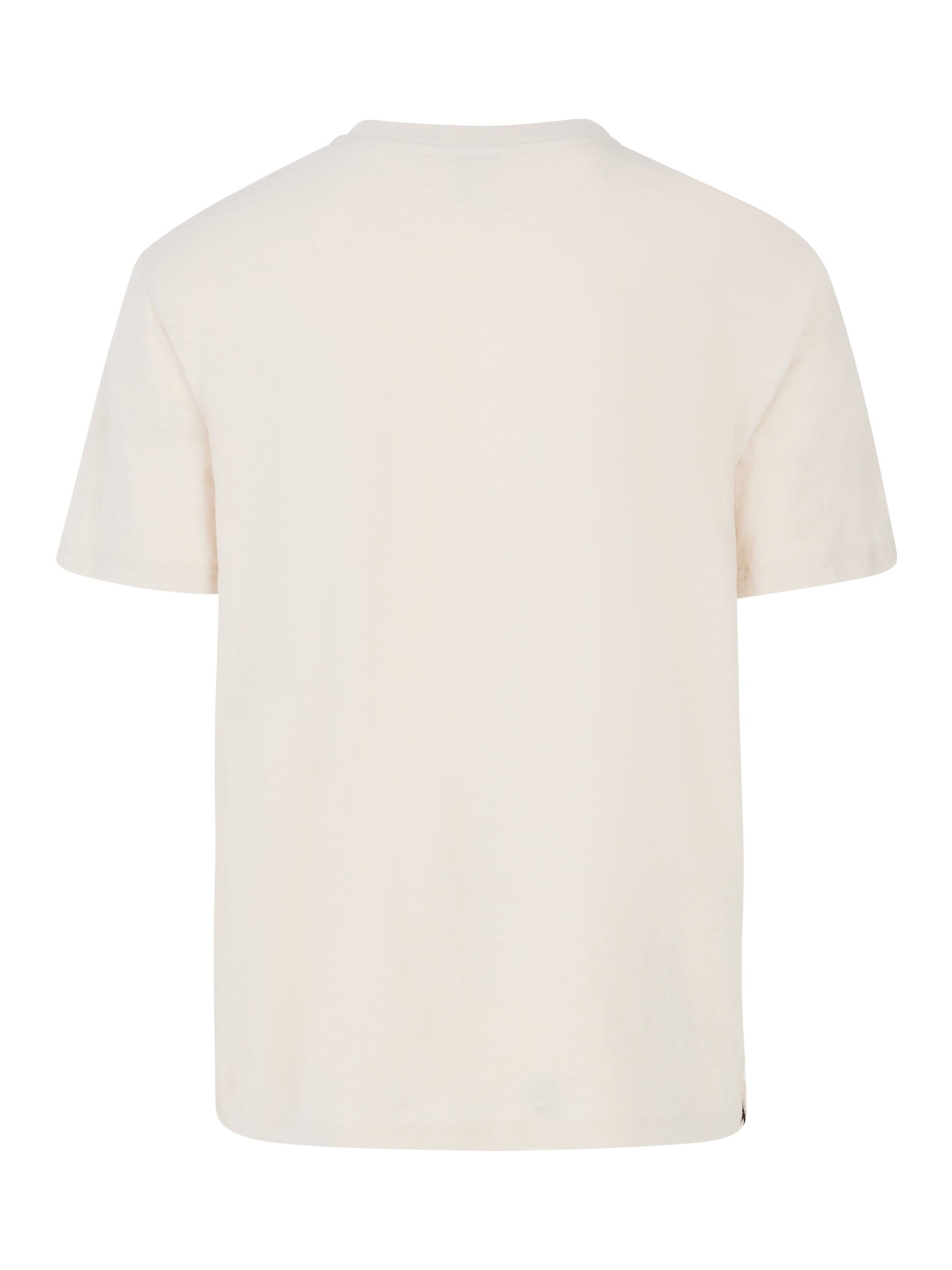 PROTEST Shirt 'PRTHowlen'‌ in Grau