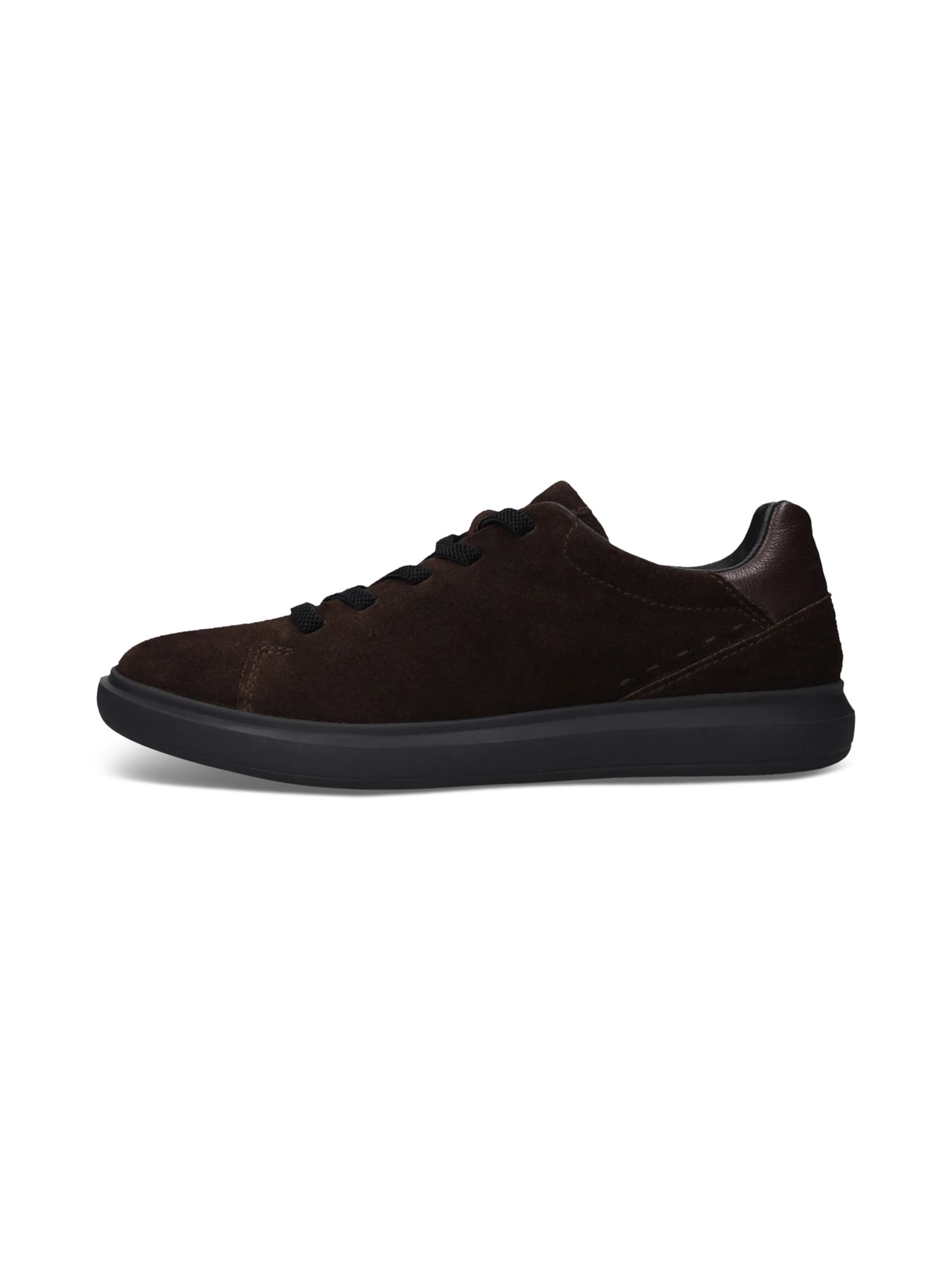 SALAMANDER - Zapatillas deportivas bajas en marrón