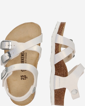 Pantofi deschiși 'Kumba' de la BIRKENSTOCK pe alb