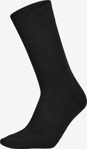 Chaussettes 'Dry Cotton' Hudson en noir : devant