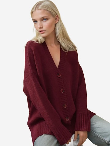 Giacchetta di Hiccup in rosso