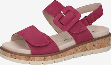 CAPRICE Sandals in Pink: front