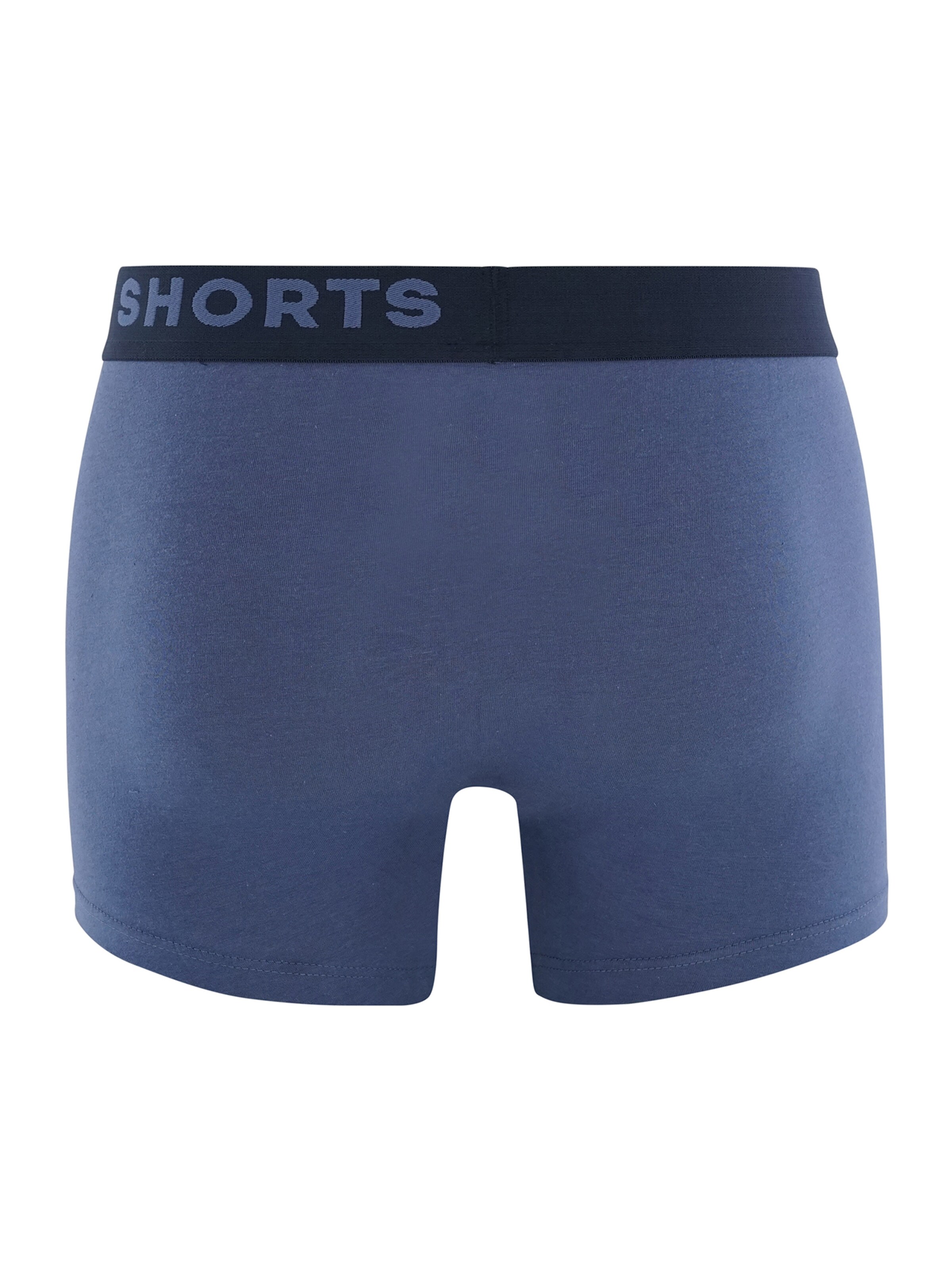 Vêtements Boxers Happy Shorts en Bleu 