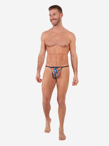 Slip ' Wonka ' HOM en mélange de couleurs