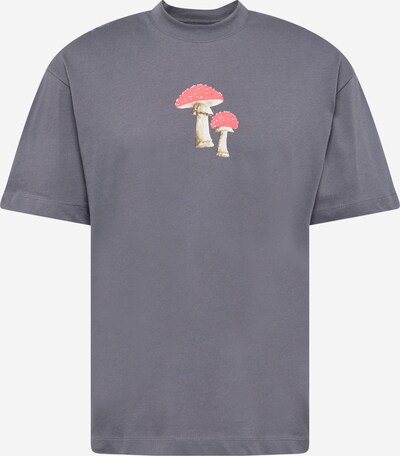 TOPMAN T-Shirt in hellbraun / dunkelgrau / rot / offwhite, Produktansicht
