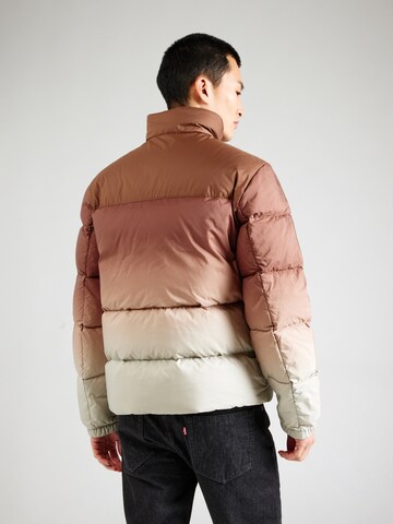 Veste outdoor 'XPL' ADIDAS TERREX en beige