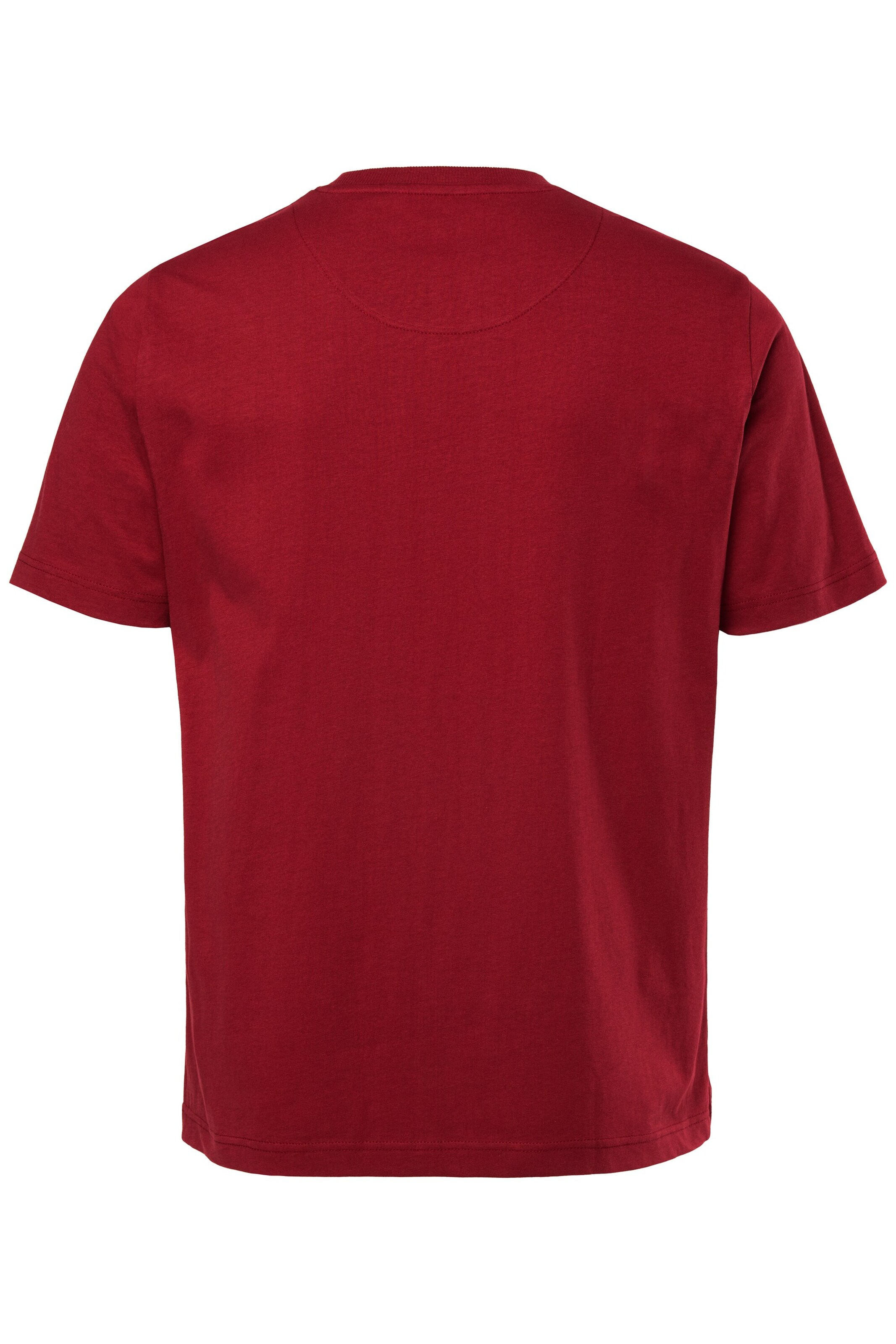 Men Plus T-Shirt in Rot