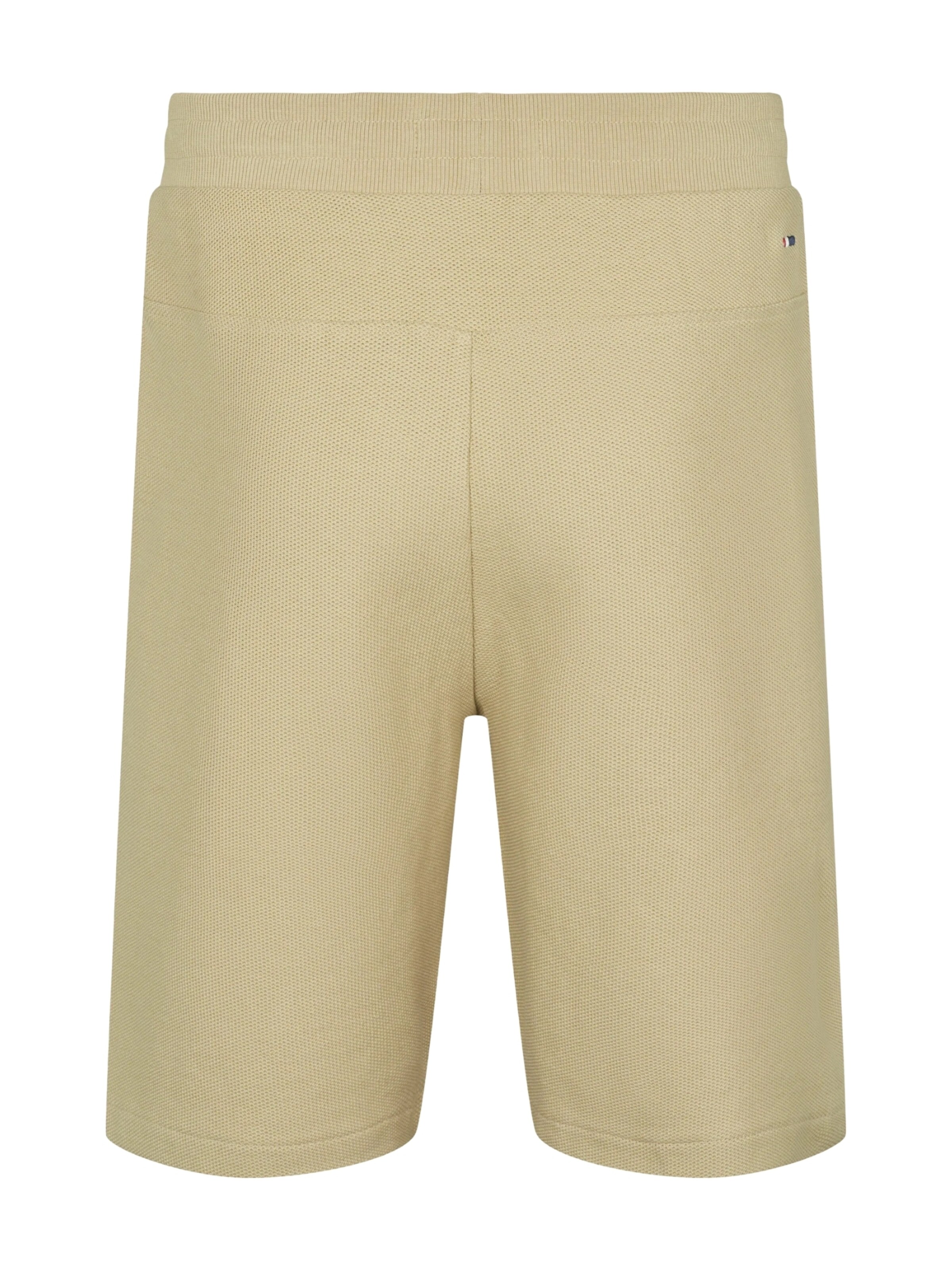 U.S. POLO ASSN. Regular Trousers 'UMMalik' in Beige