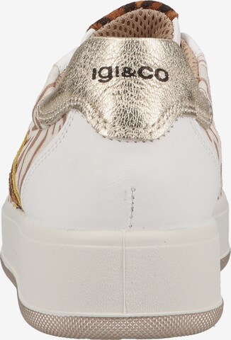 IGI&CO Sneakers in Mixed colors