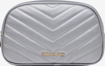 Trousses de toilette ' Doga ' Carlo Colucci en argent : devant