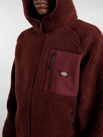 Veste en polaire DICKIES en marron