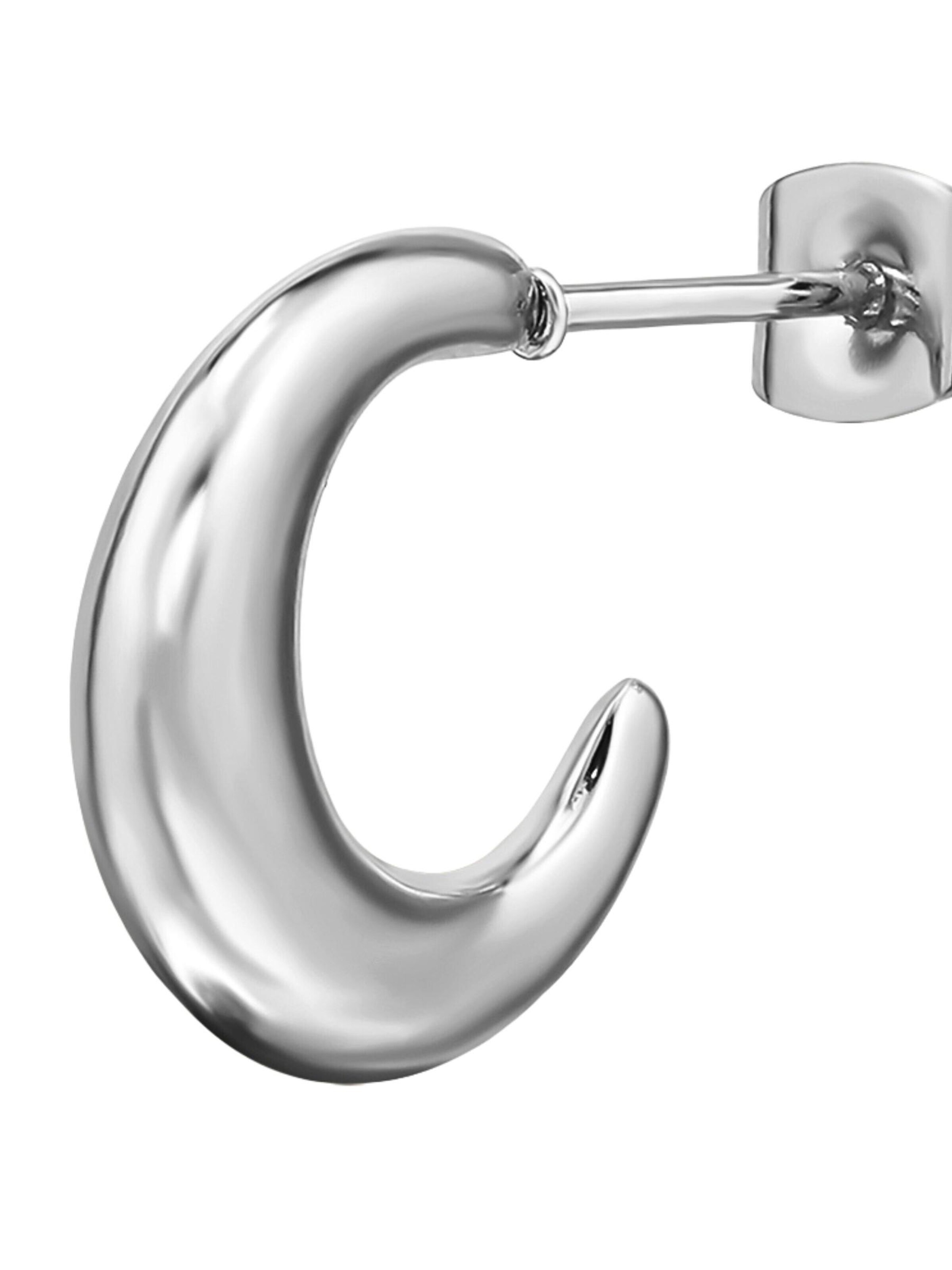 Maxte Earrings in Silver