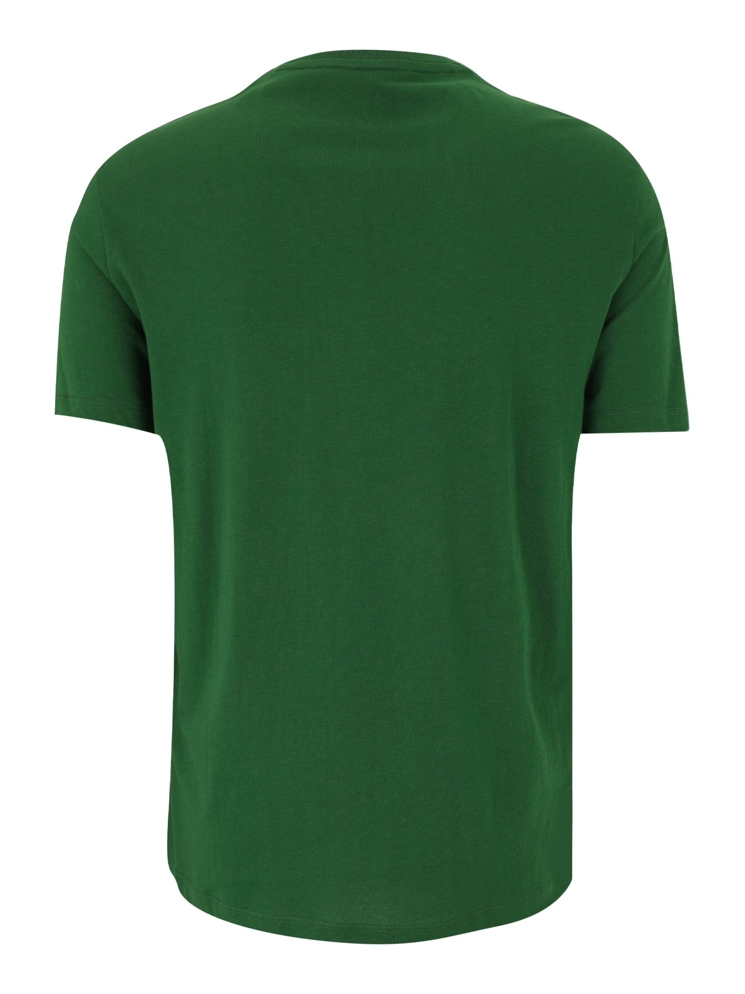 ARMANI EXCHANGE Koszulka '8NZTCJ' w kolorze zielony