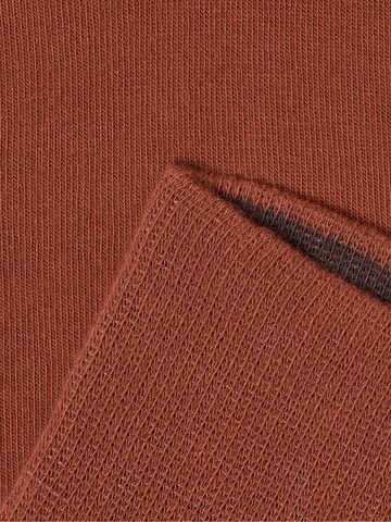 Von Jungfeld Socks 'Herbstfarben' in Brown