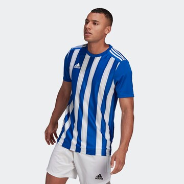 Maillot ADIDAS SPORTSWEAR en bleu : devant