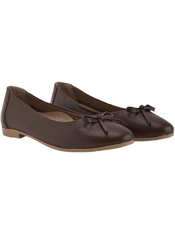 Limoya Ballerina 'Stechpalme'‌ in Braun