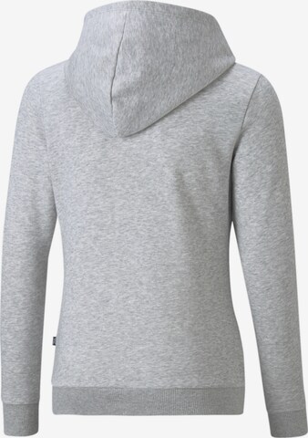 PUMA Sweatshirt 'Essentials' in Grey