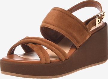 BALDININI Sandalen met riem in Bruin: voorkant