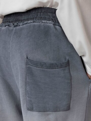Loosefit Pantaloni 'Raphael' di Dandalo in grigio