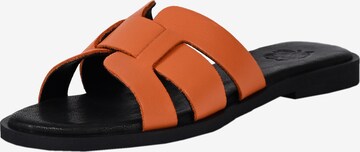 Apple of Eden Mules 'ALYCIA' in Orange: front