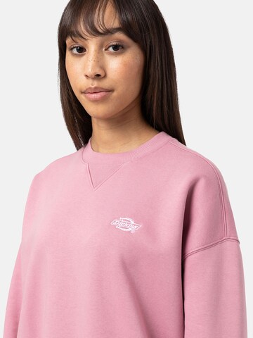 DICKIES Sweatshirt 'Summerdale' in Roze