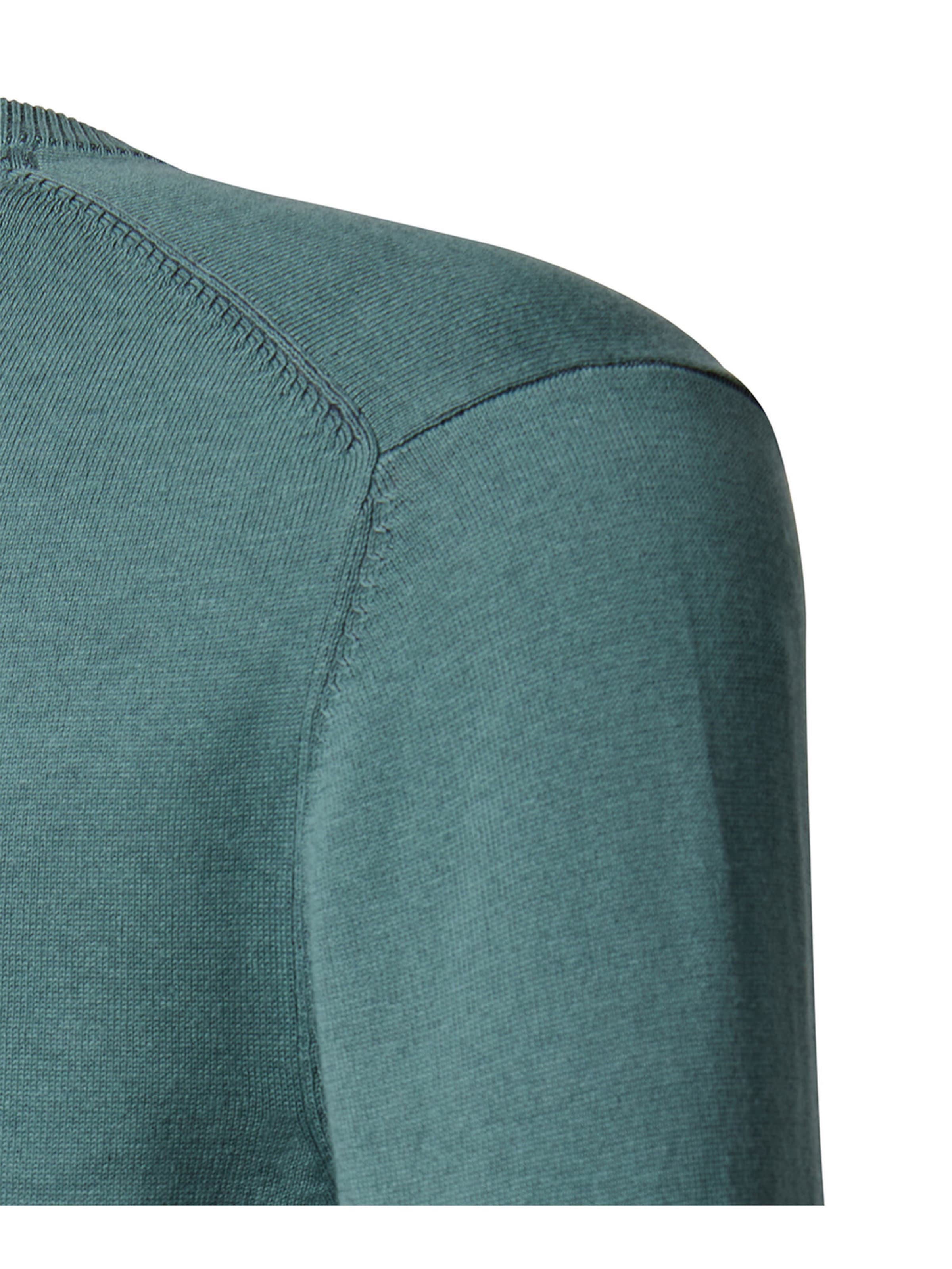 PIERRE CARDIN Trui in Groen