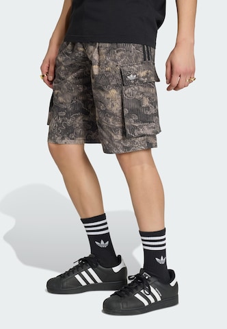 Loosefit Pantalon cargo 'Adilenium Season 5' ADIDAS ORIGINALS en gris : devant