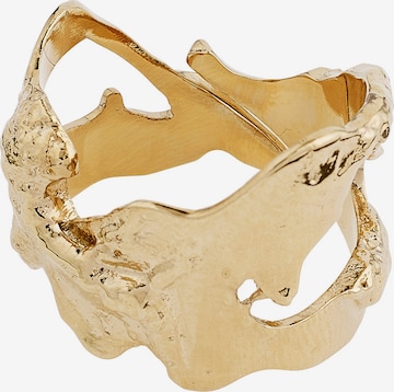 auksinė Pilgrim Žiedas 'Compass': priekis