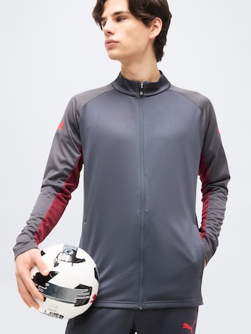 PUMA Trainingsanzug 'IndividualLIGA' in Grau