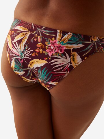 Slip bikini 'Bikinihosen' di Penti in colori misti