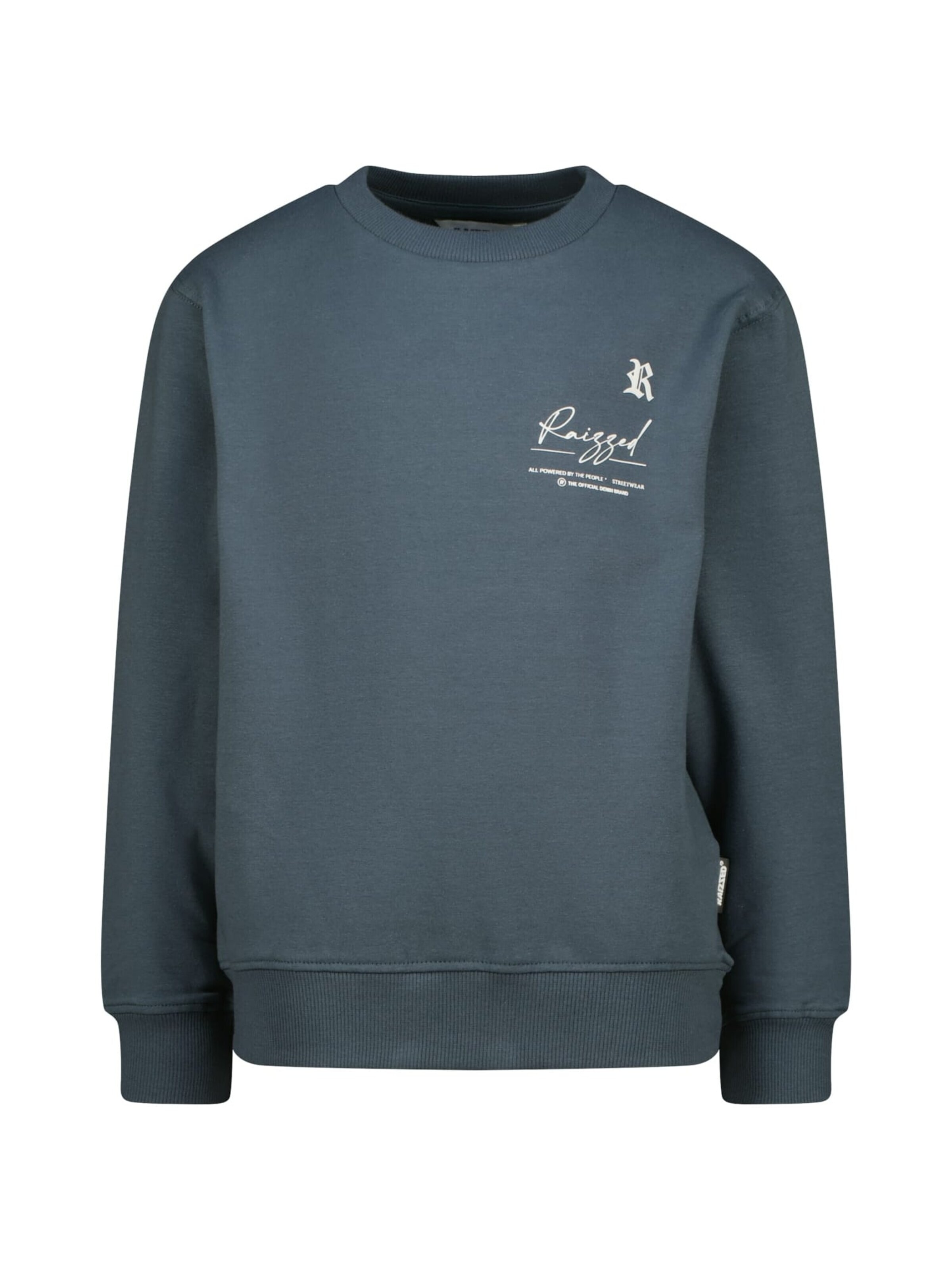 Raizzed Sweatshirt in Blauw: voorkant