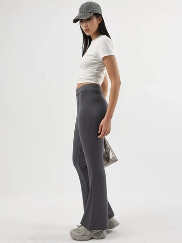 Flared Pantaloni 'Hose' di Hiccup in grigio