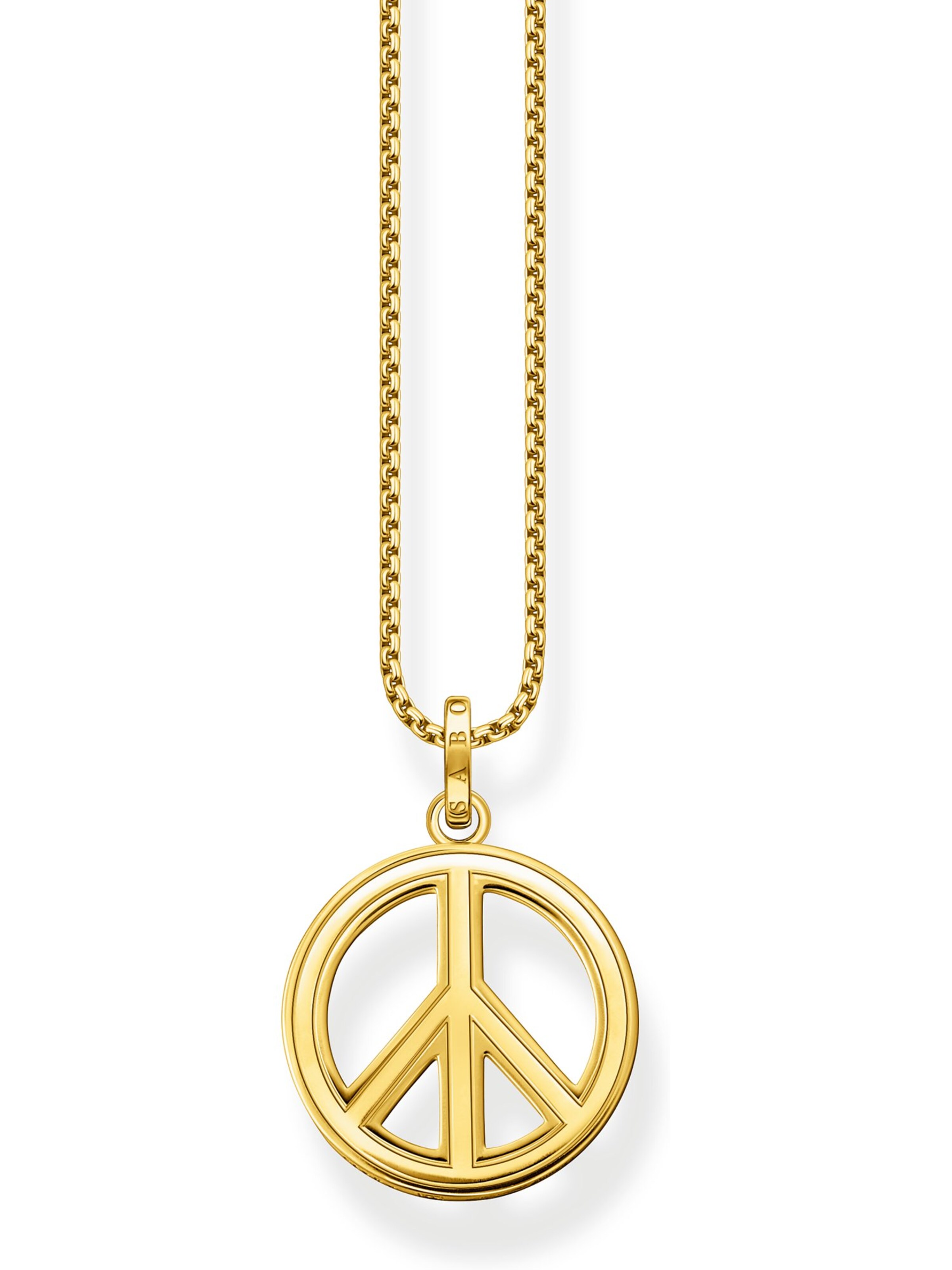Thomas Sabo Ketting in Goud