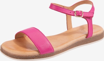 Apple of Eden Sandalen met riem 'Isa' in Roze: voorkant