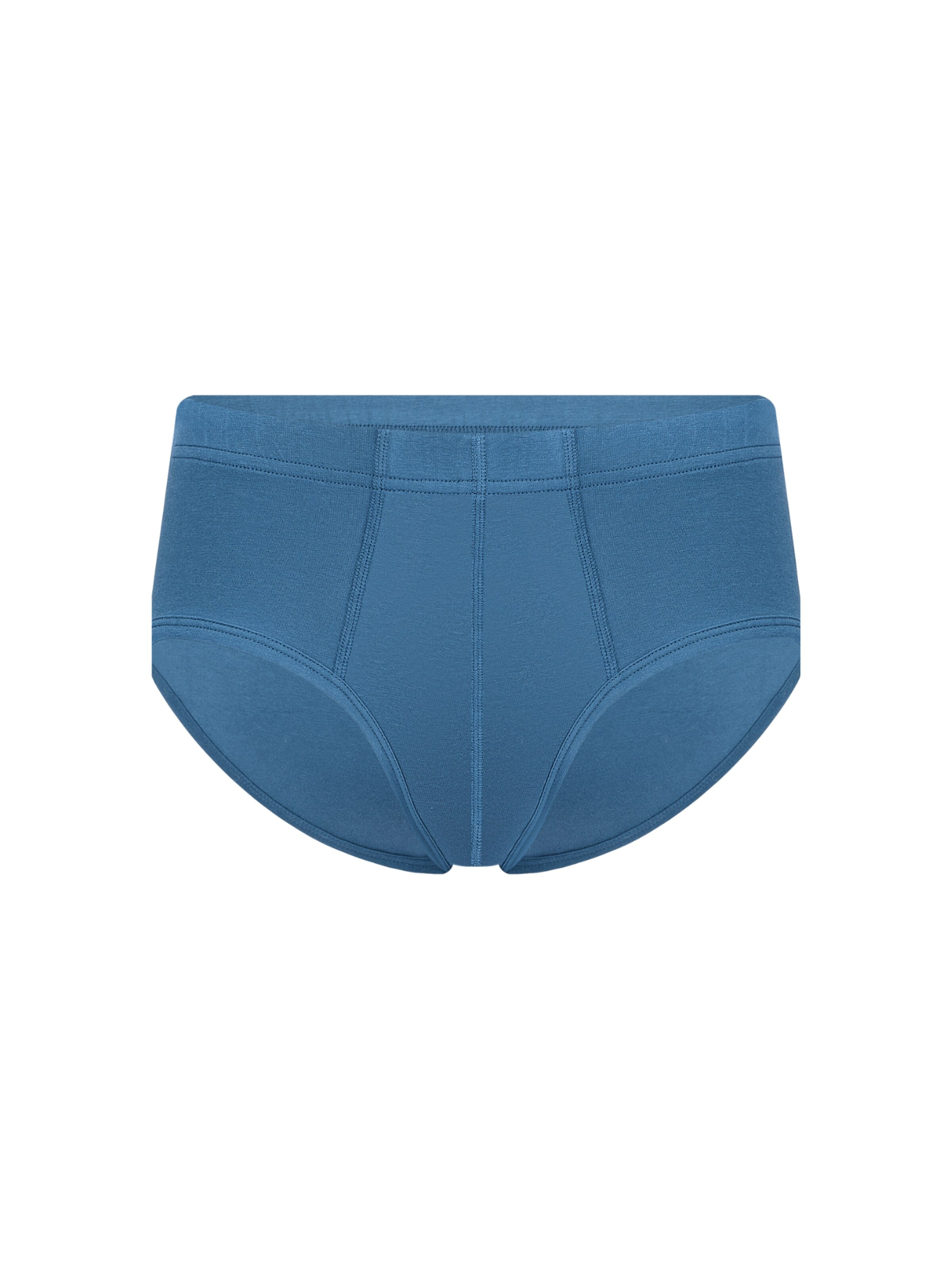 Albero Natur Slip 'Bio-Baumwoll Herrenslip mit Komfortbund'‌‌‌‌‌‌‌‌ in Blau: Vorderseite