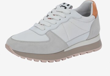 FREUDE Sneakers ' ASTA ' in Grey: front