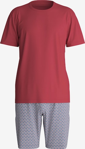 CALIDA Short Pajamas 'Cotton Special' in Purple: front