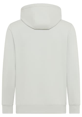 DELMAO Sweatshirt in Grey