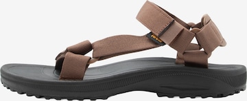 Sandales 'Winsted' TEVA en marron : devant