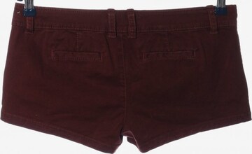 Abercrombie & Fitch Hot Pants S in Braun