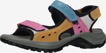Sandales de randonnée IMAC en mélange de couleurs : devant