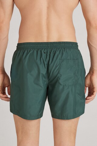 INTIMISSIMI Board Shorts in Green