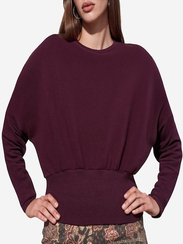 Busem Sweatshirt 'Sweatshirts'‌‌‌‌‌‌‌ in Rot
