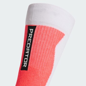 ADIDAS PERFORMANCE Sports socks 'Predator' in White