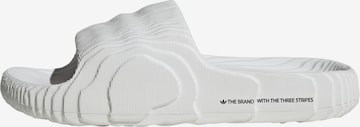 Mule 'Adilette 22' ADIDAS ORIGINALS en blanc : devant