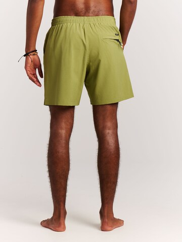 PROTEST Swimming shorts 'PRTAdonia' in Green