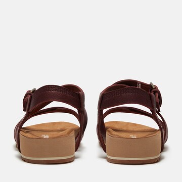 TIMBERLAND Sandals 'Malibu Waves' in Brown