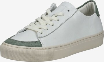 Baskets basses Sneaky Steve en blanc : devant
